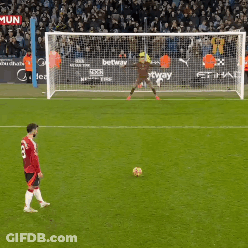 Soccer Game In Front Of Crowd GIF