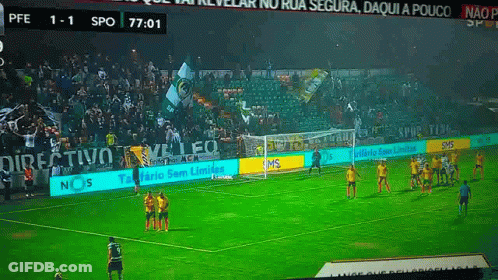 Soccer Game In Front Of Crowd GIF