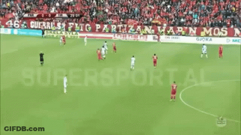 Soccer Game In Front Of Crowd GIF