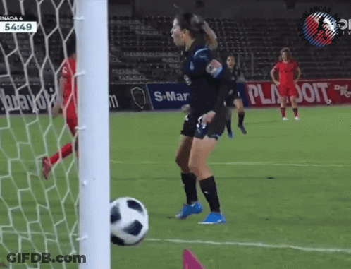 Soccer Game In Front Of Playdoit Banner GIF