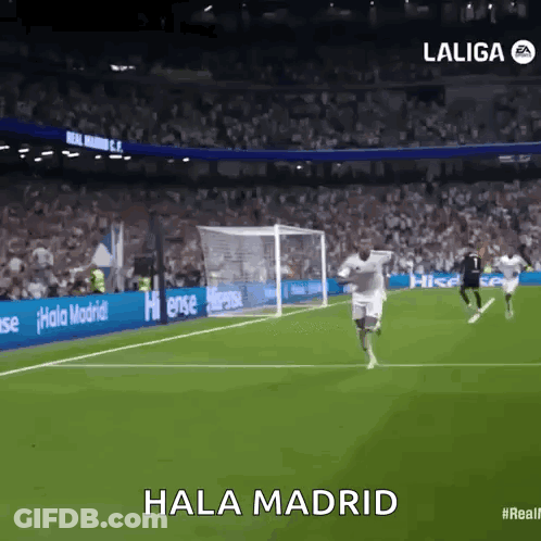 Soccer Game In Stadium Hala Madrid GIF