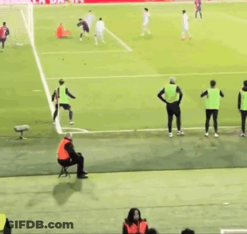 Soccer Game In Stadium With Estrella Damm Ads GIF