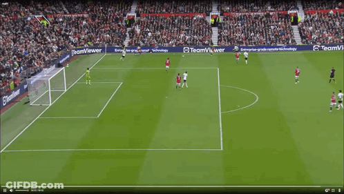 Soccer Game In Stadium With TeamViewer Ad GIF