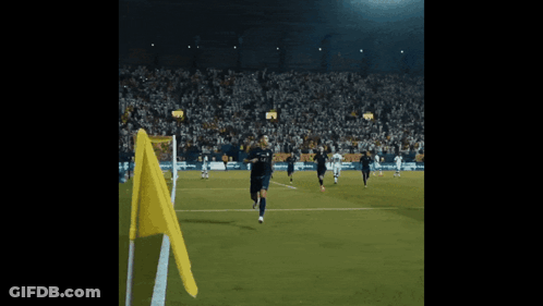 Soccer Game In Stadium With Yellow Flag GIF