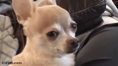 Soccer Game On ESPN And ABC Live GIF