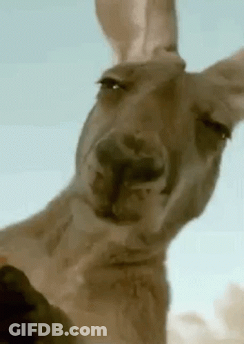 Soccer Game Score 0-0 In Stadium GIF