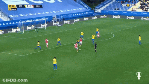 Soccer Game With Bwin Advertisements GIF