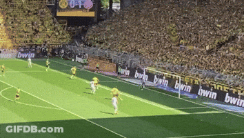 Soccer Game With BWIN Banners GIF