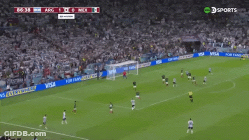 Soccer Game With Large Crowd Score 1-0 GIF