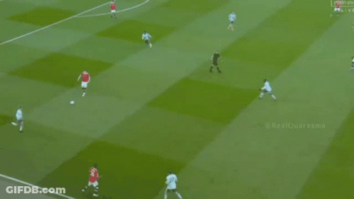Soccer Game With The Wine Legend Banner GIF