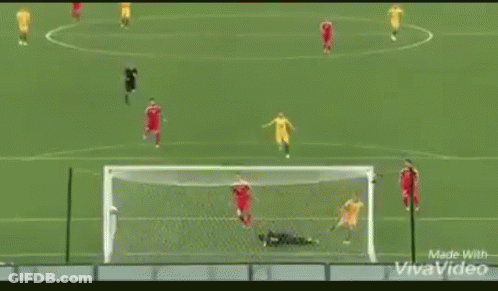 Soccer Game With Toyota Advertisements GIF