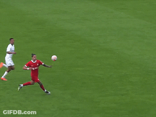 Soccer Goal With LFCTV Banner GIF