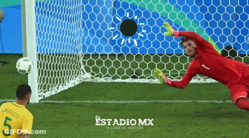 Soccer Goalie Diving For Ball With Number 5 GIF