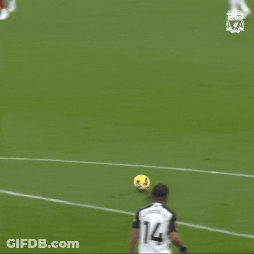 Soccer Goalie Diving To Catch Ball GIF