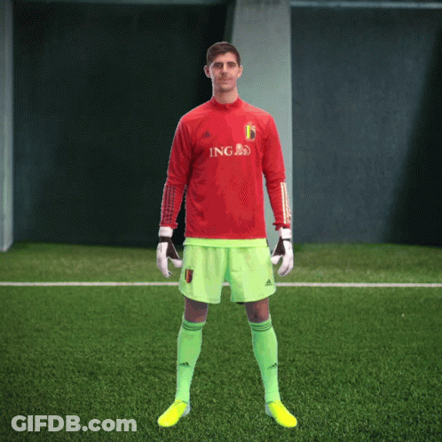 Soccer Goalie In Yellow Jersey Number 23 GIF