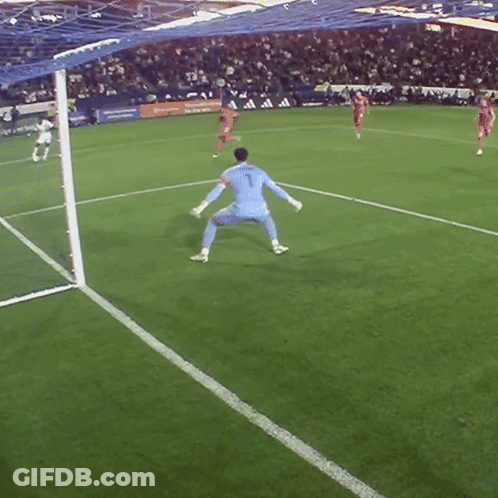Soccer Goalie Number 1 GIF