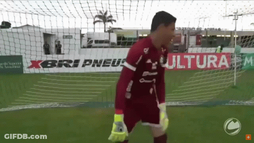 Soccer Goalie With Xbri Pneu Banner GIF