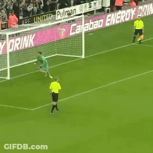 Soccer Goalkeeper Catching Ball GIF