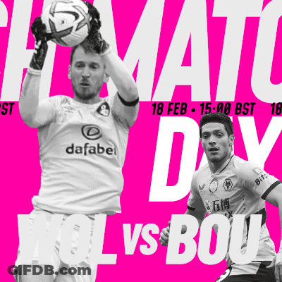 Soccer Match Wolves Vs Bournemouth GIF