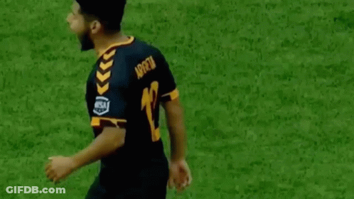 Soccer Player Arms In Air GIF