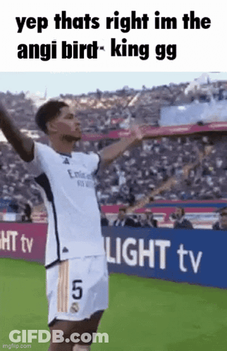 Soccer Player Arms Up Light TV Sign GIF