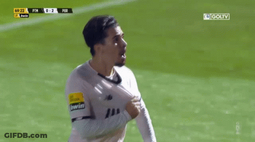 Soccer Player Celebrates Goal PTN Vs POR GIF