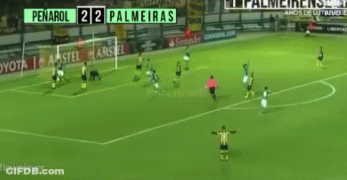 Soccer Player Celebrating Goal At Toyota Sign GIF