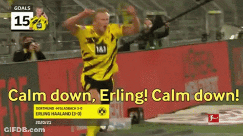 Soccer Player Celebrating Goal Saying Calm Down Erling GIF