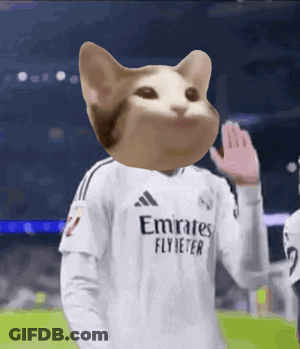 Soccer Player In Cat Head Jersey Saying Emirates Flybeter GIF