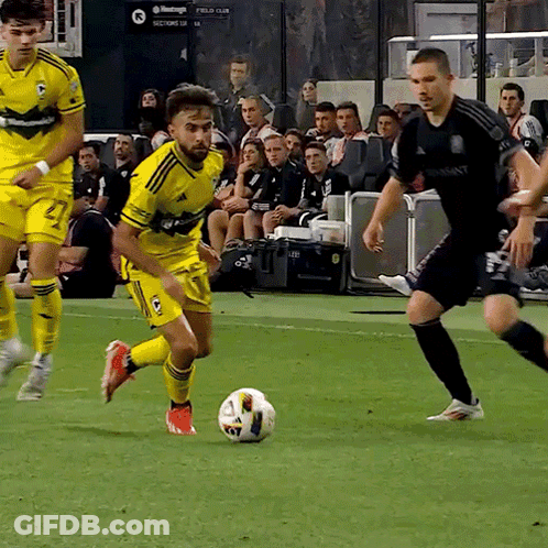 Soccer Player In Flamingos Jersey GIF
