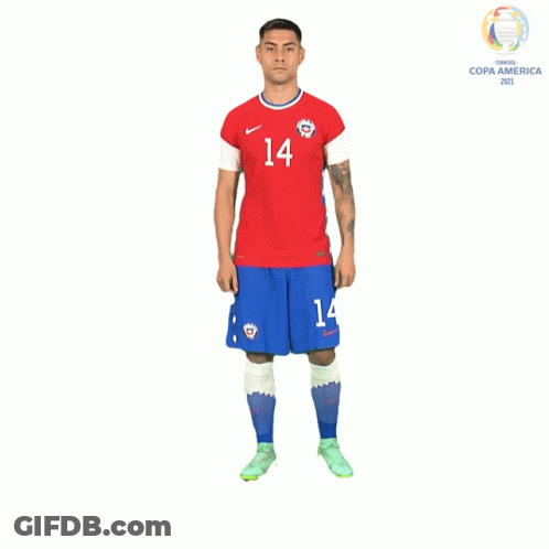 Soccer Player In Red And Blue Number 14 GIF