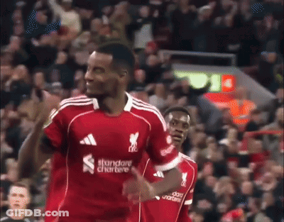 Soccer Player In Red Jersey Saying Standard Chartere GIF