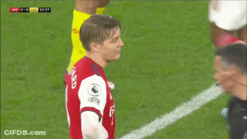 Soccer Player In Red Jersey With Fly On Sleeve GIF