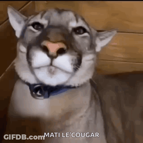Soccer Player In Yellow Huawei Jersey GIF