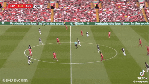Soccer Player Kicking Ball Score 1-0 GIF