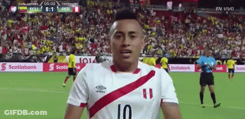 Soccer Player Number 10 On Field GIF