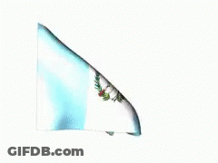 Soccer Player Number 19 Running GIF
