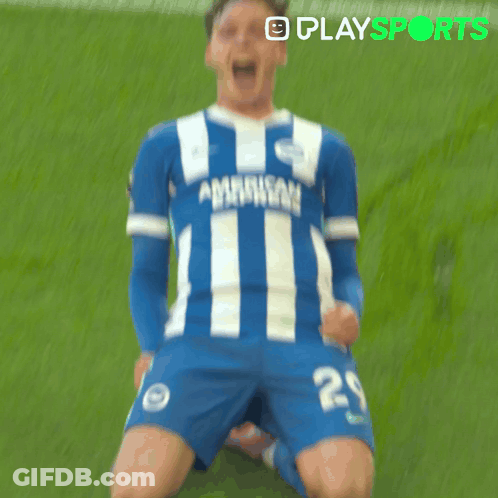 Soccer Player Number 29 Celebrating Goal GIF
