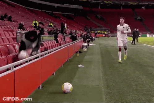 Soccer Player On Field With Heineken Sign GIF