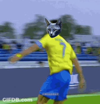 Soccer Player With Cat Face And Number 7 GIF