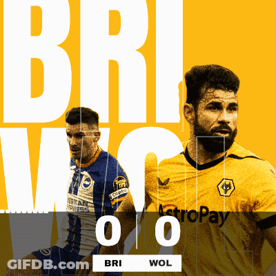Soccer Players Bri Wol GIF
