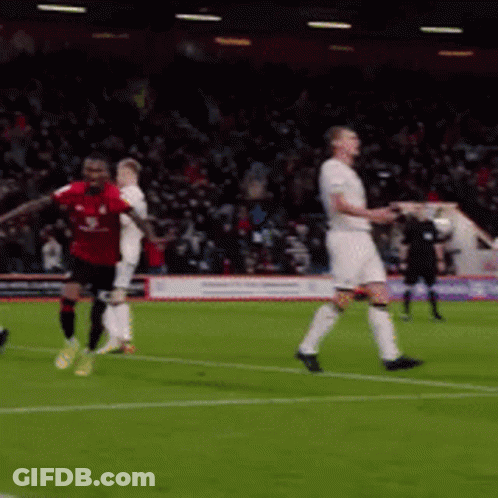 Soccer Players On Field With Crowd GIF