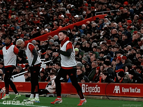 Soccer Players On Field With Expedia Banner GIF