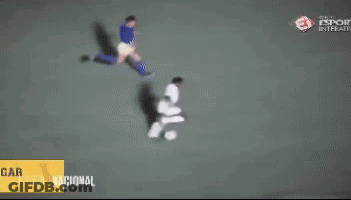 Soccer Players On Field With Gar GIF