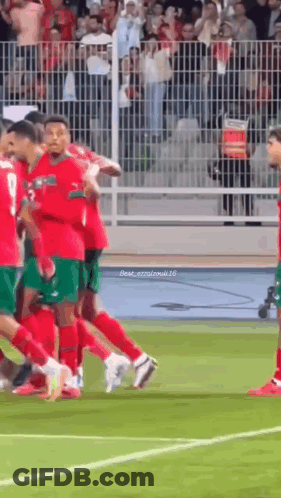 Soccer Players Standing On Field GIF
