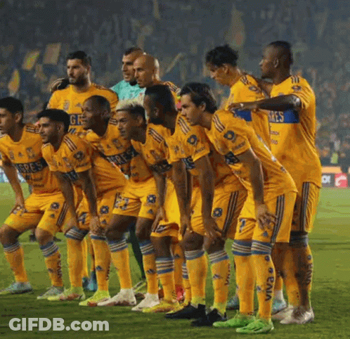 Soccer Players Wearing Yellow Jerseys GIF