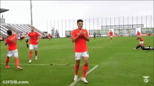 Soccer Players With Coral Banner GIF
