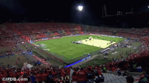 Soccer Stadium Full Of People GIF
