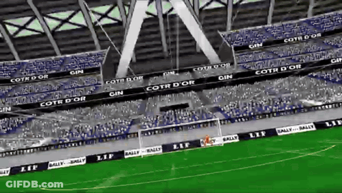 Soccer Stadium With Cotr D'Or Banner GIF