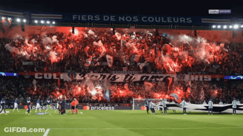 Soccer Stadium With Fiers De Nos Couleurs Banner GIF